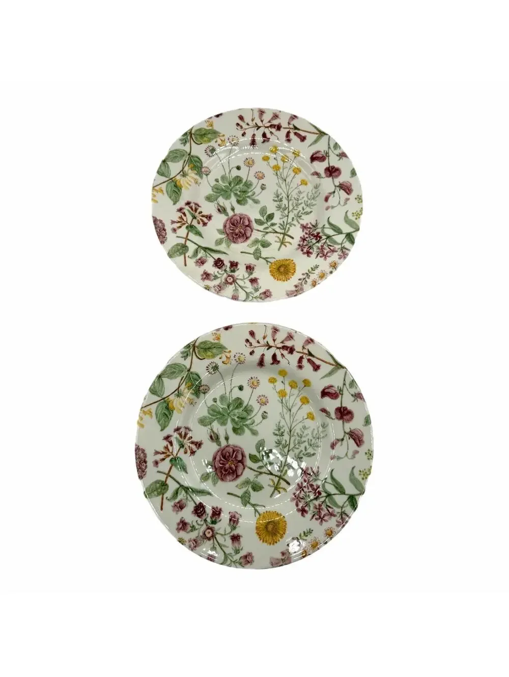 Set of 2 Royal Stafford Hedgerow Wildflowers Earthenware 8.5” Salad Plates